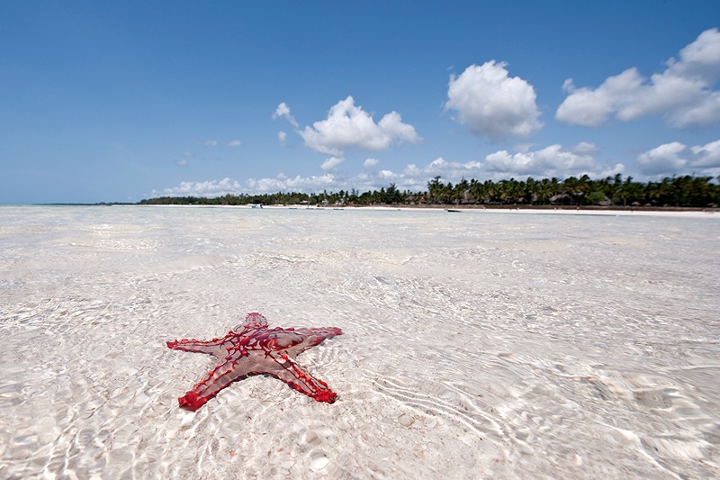 Diani Beach